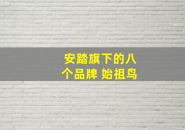 安踏旗下的八个品牌 始祖鸟